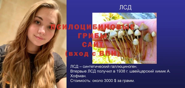 твердый Заволжск